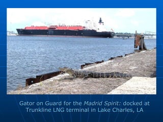 Gator on Guard for the  Madrid Spirit:  docked at Trunkline LNG terminal in Lake Charles, LA 