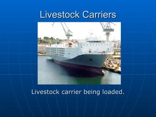 Livestock Carriers Livestock carrier being loaded. 
