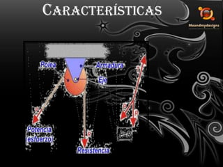 Características 