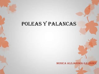 POLEAS Y PALANCAS
MONICA ALEJANDRA GALINDEZ
 