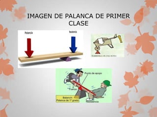 IMAGEN DE PALANCA DE PRIMER
CLASE
 