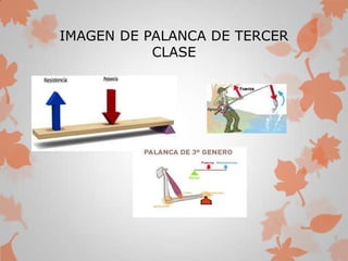 IMAGEN DE PALANCA DE TERCER
CLASE
 