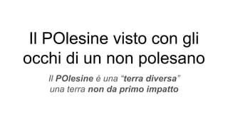 Il POlesine visto con gli
occhi di un non polesano
Il POlesine è una “terra diversa”
una terra non da primo impatto
 
