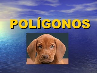 POLÍGONOS
 