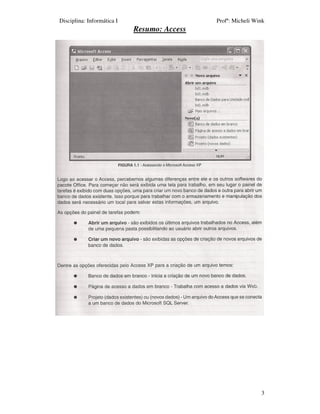 Disciplina: Informática I                    Profª: Micheli Wink
                            Resumo: Access




                                                              3
 