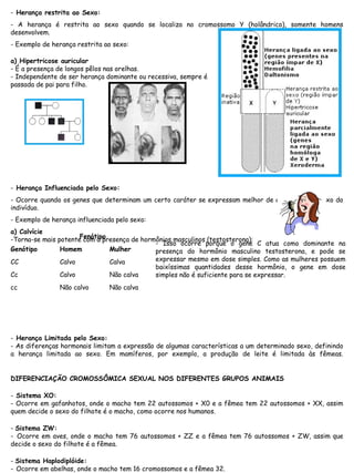 - Herança restrita ao Sexo:
- A herança é restrita ao sexo quando se localiza no cromossomo Y (holândrico), somente homens
desenvolvem.
- Exemplo de herança restrita ao sexo:
- Herança Influenciada pelo Sexo:
- Ocorre quando os genes que determinam um certo caráter se expressam melhor de acordo com o sexo do
indivíduo.
- Exemplo de herança influenciada pelo sexo:
a) Calvície
-Torna-se mais potente com a presença de hormônios masculinos (testosterona):
- Herança Limitada pelo Sexo:
- As diferenças hormonais limitam a expressão de algumas características a um determinado sexo, definindo
a herança limitada ao sexo. Em mamíferos, por exemplo, a produção de leite é limitada às fêmeas.
DIFERENCIAÇÃO CROMOSSÔMICA SEXUAL NOS DIFERENTES GRUPOS ANIMAIS
- Sistema XO:
- Ocorre em gafanhotos, onde o macho tem 22 autossomos + X0 e a fêmea tem 22 autossomos + XX, assim
quem decide o sexo do filhote é o macho, como ocorre nos humanos.
- Sistema ZW:
- Ocorre em aves, onde o macho tem 76 autossomos + ZZ e a fêmea tem 76 autossomos + ZW, assim que
decide o sexo do filhote é a fêmea.
- Sistema Haplodiplóide:
- Ocorre em abelhas, onde o macho tem 16 cromossomos e a fêmea 32.
a) Hipertricose auricular
- É a presença de longos pêlos nas orelhas.
- Independente de ser herança dominante ou recessiva, sempre é
passada de pai para filho.
  Fenótipo
Genótipo Homem Mulher
CC Calvo Calva
Cc Calvo Não calva
cc Não calvo Não calva
- Isso ocorre porque o gene C atua como dominante na
presença do hormônio masculino testosterona, e pode se
expressar mesmo em dose simples. Como as mulheres possuem
baixíssimas quantidades desse hormônio, o gene em dose
simples não é suficiente para se expressar.
 