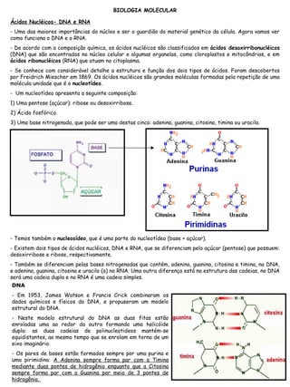 BIOLOGIA MOLECULAR
Ácidos Nucléicos- DNA e RNA
- Uma das maiores importâncias do núcleo e ser o guardião do material genético da célula. Agora vamos ver
como funciona o DNA e o RNA.
- De acordo com a composição química, os ácidos nucléicos são classificados em ácidos desoxirribonucléicos
(DNA) que são encontrados no núcleo celular e algumas organelas, como cloroplastos e mitocôndrias, e em
ácidos ribonucléicos (RNA) que atuam no citoplasma.
- Se conhece com considerável detalhe a estrutura e função dos dois tipos de ácidos. Foram descobertos
por Freidrich Miescher em 1869. Os ácidos nucléicos são grandes moléculas formadas pela repetição de uma
molécula unidade que é o nucleotídeo.
- Um nucleotídeo apresenta a seguinte composição:
1) Uma pentose (açúcar): ribose ou desoxirribose.
2) Ácido fosfórico.
3) Uma base nitrogenada, que pode ser uma destas cinco: adenina, guanina, citosina, timina ou uracila.
- Temos também o nucleosídeo, que é uma parte do nucleotídeo (base + açúcar).
- Existem dois tipos de ácidos nucléicos, DNA e RNA, que se diferenciam pelo açúcar (pentose) que possuem:
desoxirribose e ribose, respectivamente.
- Também se diferenciam pelas bases nitrogenadas que contém, adenina, guanina, citosina e timina, no DNA,
e adenina, guanina, citosina e uracilo (a) no RNA. Uma outra diferença está na estrutura das cadeias, no DNA
será uma cadeia dupla e no RNA é uma cadeia simples.
DNA
- Em 1953, James Watson e Francis Crick combinaram os
dados químicos e físicos do DNA, e propuseram um modelo
estrutural do DNA.
- Neste modelo estrutural do DNA as duas fitas estão
enroladas uma ao redor da outra formando uma helicóide
dupla: as duas cadeias de polinucleotideos mantém-se
equidistantes, ao mesmo tempo que se enrolam em torno de um
eixo imaginário.
- Os pares de bases estão formados sempre por uma purina e
uma pirimidina: A Adenina sempre forma par com a Timina
mediante duas pontes de hidrogênio enquanto que a Citosina
sempre forma par com a Guanina por meio de 3 pontes de
hidrogênio.
 