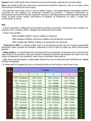 Genoma é todo o DNA (ácido desoxirribonucléico) que um determinado organismo tem nas suas células.
Gene é uma região do DNA que controla uma característica hereditária especifica, como cor do cabelo, altura,
forma de nariz e milhares de outros traços.
- Em organismos eucariontes, como é o caso da espécie humana, a informação genética armazenada no DNA é
convertida em uma seqüência de aminoácidos, formando as proteínas -- moléculas fundamentais na
determinação das características dos organismos. Contudo, a informação genética está organizada da seguinte
forma: os genes incluem regiões codificadoras da seqüência de aminoácidos, os exons, e regiões não-
codificadoras, os introns.
RNA
- O ácido ribonucléico ou RNA participa ativamente da síntese de proteínas, funcionando como verdadeiro elo
molecular entre o código do DNA e a seqüência de aminoácidos nas proteínas.
- Temos 3 tipos de RNA:
- RNA ribossômico (RNAr): monta e compõe os ribossomos.
- RNA mensageiro (RNAm): determina a seqüência dos aminoácidos na proteína.
- RNA transportador (RNAt): transporta os aminoácidos aos ribossomos
- Transcrição do RNA: é a síntese do RNA a partir de um filamento do DNA que com a ajuda da enzima RNA
polimerase, rompe as pontes de hidrogênio, separando as fitas de DNA na região que codifica determinada
proteína.
- Código Genético: se considerarmos que cada base codifica um aminoácido, só poderiam existir 4 aminoácidos,
mas existem 20. Foi proposto, então, que as bases nitrogenadas formariam uma linguagem em código e que cada
código corresponderia a um aminoácido. Assim, surgiu a expressão código genético.
- Após várias experimentações e comprovações, descobriu-se que os aminoácidos são codificados por trincas
de bases nitrogenadas.
- O código genético é degenerado, pois, um aminoácido pode ser codificado por mais de uma trinca.
 