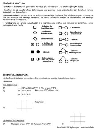 FENÓTIPO E GENÓTIPO
- Genótipo: é a constituição genética do indivíduo. Ex.: heterozigoto (Aa) e homozigoto (AA ou aa).
- Fenótipo: são as características determinadas pelo genótipo + meio ambiente. Ex.: cor dos olhos, textura
dos cabelo, cor de uma flor,...
- Cruzamento-teste: para saber se um indivíduo com fenótipo dominante é ou não heterozigoto, cruza-se ele
com um indivíduo com fenótipo recessivo. Se desse cruzamento nascer um descendente com fenótipo
recessivo ele é heterozigoto.
- Heredograma ou árvore genealógica: é a representação gráfica das relações de parentesco entre
indivíduos de uma famíla.
DOMINÂNCIA INCOMPLETA
- O fenótipo do indivíduo heterozigoto é intermediário ao fenótipo dos dois homozigotos.
- Exemplos:
Flor Boca-de-leão
GP Flor vermelha (FV
FV
) X Flor branca (FB
FB
)
F1
F2
Galinhas da Raça Andaluza
GP Plumagem branca (PB
PB
) X Plumagem Preta (PP
PP
) F1
FV
FV
FB
FB
FV
FB
FV
FB
FV
FB
FV
FB
Resultado: 100% flores rosa
Resultado:
Resultado: 100% plumagem cinzento-azulada
 