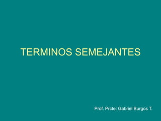 TERMINOS SEMEJANTES
Prof. Prcte: Gabriel Burgos T.
 