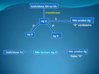 Indivíduos HH ou Hh
transferase
Ag H
IA IB
Ag A
Ag B
Indivíduos hh Não formam Ag H
ii
Não produz Ag
“O” verdadeiro
Não produz Ag
Falso “O”
 