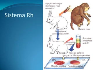 Sistema Rh
 