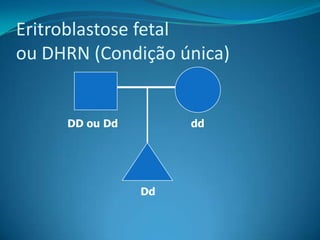 Eritroblastose fetal
ou DHRN (Condição única)
DD ou Dd dd
Dd
 