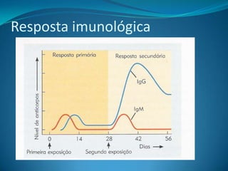 Resposta imunológica
 