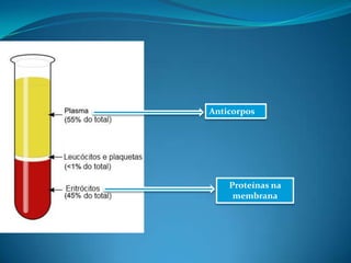 Anticorpos
Proteínas na
membrana
 