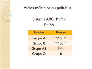 Alelos múltiplos ou polialelia

     Sistema ABO: IA, IB, i
                 IA=IB>i
      Fenótipo              Genótipo

    Grupo A                IAIA ou IAi
    Grupo B                IBIB ou IBi
    Grupo AB                   IAIB
    Grupo O                      ii
 