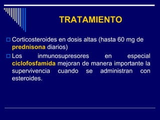 TRATAMIENTO

 Corticosteroides en dosis altas (hasta 60 mg de
  prednisona diarios)
 Los      inmunosupresores    en      especial
  ciclofosfamida mejoran de manera importante la
  supervivencia cuando se administran con
  esteroides.
 