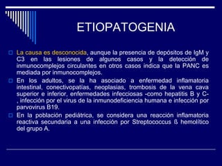 ETIOPATOGENIA
 La causa es desconocida, aunque la presencia de depósitos de IgM y
  C3 en las lesiones de algunos casos y la detección de
  inmunocomplejos circulantes en otros casos indica que la PANC es
  mediada por inmunocomplejos.
 En los adultos, se la ha asociado a enfermedad inflamatoria
  intestinal, conectivopatías, neoplasias, trombosis de la vena cava
  superior e inferior, enfermedades infecciosas -como hepatitis B y C-
  , infección por el virus de la inmunodeficiencia humana e infección por
  parvovirus B19.
 En la población pediátrica, se considera una reacción inflamatoria
  reactiva secundaria a una infección por Streptococcus ß hemolítico
  del grupo A.
 