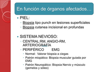  PIEL:
◦ Biopsia tipo punch en lesiones superficiales
◦ Biopsia cutanea incisional en profundas
 SISTEMA NEVIOSO:
◦ CENTRAL:RM, ANGIO-RM,
ARTERIOGRAFÍA
◦ PERIFÉRICO EMG
 Normal: Valorar biopsia a ciegas
 Patrón miopático: Biopsia muscular guiada por
EMG
 Patrón Neuropático: Biopsia Nervio y músculo
(gemelos y sóleo)
En función de órganos afectados…
 