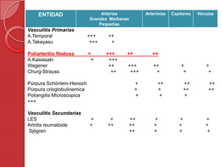 ENTIDAD Arterias
Grandes Medianas
Pequeñas
Arteriolas Capilares Vénulas
Vasculitis Primarias
A.Temporal +++ ++
A.Takayasu +++ +
Poliarteritis Nodosa + +++ ++ ++
A.Kawasaki + +++
Wegener ++ +++ ++ + +
Churg-Strauss ++ +++ + + +
Púrpura Schönlein-Henoch + ++ ++ ++
Púrpura crioglobulinemica + + ++ ++
Poliangitis Microscopica + + +
+++
Vasculitis Secundarias
LES + + ++ + + +
Artritis reumatoide + ++ ++ + + +
Sjögren ++ + + +
 
