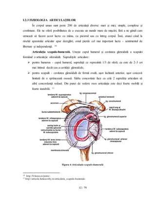 12 / 79
I.2.3 FIZIOLOGIA ARTICULAŢIILOR
În corpul uman sunt peste 200 de articulaţii diverse: mari şi mici, simple, complexe şi
combinate. Ele ne oferă posibilitatea de a executa un număr mare de mişcări, fără a ne gândi cum
urmează să facem acest lucru: cu mâna, cu piciorul sau cu întreg corpul. Însă, atunci când la
nivelul aparatului articular apar dereglări, omul pierde cel mai important lucru - sentimentul de
libertate şi independenţă. 10
Articulaţia scapulo-humerală. Uneşte capul humeral şi cavitatea glenoidală a scapulei
formând o articulaţie sferoidală. Suprafeţele articulare:
 pentru humerus - capul humeral, suprafaţă ce reprezintă 1/3 de sferă; ea este de 2-3 ori
mai întinsă decât cea a cavităţii glenoidale;
 pentru scapulă - cavitatea glenoidală de formă ovală, uşor înclinată anterior, uşor concavă
limitată de o sprânceană osoasă. Slaba concavitate face ca cele 2 suprafeţe articulare să
aibă concordanţă redusă. Din punct de vedere osos articulaţia este deci foarte mobilă şi
foarte instabilă. 11
Figura 6 Articulaţia scapulo-humerală
10 http://b-luron.ro/joints/.
11 http://articole.famouswhy.ro/articulatia_scapulo-humerala/.
 