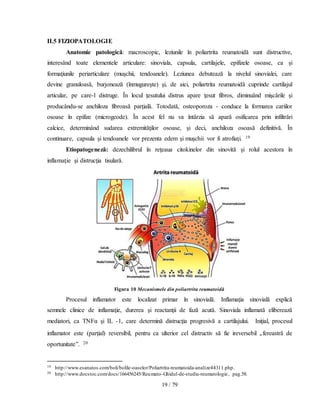 19 / 79
II.5 FIZIOPATOLOGIE
Anatomie patologică: macroscopic, leziunile în poliartrita reumatoidă sunt distructive,
interesând toate elementele articulare: sinoviala, capsula, cartilajele, epifizele osoase, ca şi
formaţiunile periarticulare (muşchii, tendoanele). Leziunea debutează la nivelul sinovialei, care
devine granuloasă, burjonează (înmugureşte) şi, de aici, poliartrita reumatoidă cuprinde cartilajul
articular, pe care-l distruge. În locul ţesutului distrus apare ţesut fibros, diminuând mişcările şi
producându-se anchiloza fibroasă parţială. Totodată, osteoporoza - conduce la formarea cariilor
osoase în epifize (microgeode). În acest fel nu va întârzia să apară osificarea prin infiltrări
calcice, determinând sudarea extremităţilor osoase, şi deci, anchiloza osoasă definitivă. În
continuare, capsula şi tendoanele vor prezenta edem şi muşchii vor fi atrofiaţi. 19
Etiopatogeneză: dezechilibrul în reţeaua citokinelor din sinovită şi rolul acestora în
inflamaţie şi distrucţia tisulară.
Figura 10 Mecanismele din poliartrita reumatoidă
Procesul inflamator este localizat primar în sinovială. Inflamaţia sinovială explică
semnele clinice de inflamaţie, durerea şi reactanţii de fază acută. Sinoviala inflamată eliberează
mediatori, ca TNFα şi IL -1, care determină distrucţia progresivă a cartilajului. Iniţial, procesul
inflamator este (parţial) reversibil, pentru ca ulterior cel distructiv să fie ireversebil „fereastră de
oportunitate”. 20
19 http://www.esanatos.com/boli/bolile-oaselor/Poliartrita-reumatoida-analize44311.php.
20 http://www.docstoc.com/docs/166456245/Reumato-Ghidul-de-studiu-reumatologie, pag.58.
 