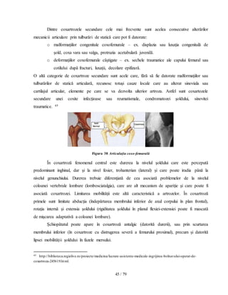 45 / 79
Dintre coxartrozele secundare cele mai frecvente sunt acelea consecutive alterărilor
mecanicii articulare prin tulburări de statică care pot fi datorate:
o malformaţiilor congenitale coxofemurale – ex. displazia sau luxaţia congenitală de
şold, coxa vara sau valga, protruzia acetabulară juvenilă.
o deformaţiilor coxofemurale câştigate – ex. sechele traumatice ale capului femural sau
cotilului după fracturi, luxaţii, decolare epifizară.
O altă categorie de coxartroze secundare sunt acele care, fără să fie datorate malformaţiilor sau
tulburărilor de statică articulară, recunosc totuşi cauze locale care au alterat sinoviala sau
cartilajul articular, elemente pe care se va dezvolta ulterior artroza. Astfel sunt coxartozele
secundare unei coxite infecţioase sau reumatismale, condromatozei şoldului, sinovitei
traumatice. 45
Figura 38 Articulaţia coxo-femurală
În coxartroză fenomenul central este durerea la nivelul şoldului care este percepută
predominant inghinal, dar şi la nivel fesier, trohanterian (lateral) şi care poate iradia până la
nivelul genunchiului. Durerea trebuie diferenţiată de cea asociată problemelor de la nivelul
coloanei vertebrale lombare (lombosciatalgia), care are alt mecanism de apariţie şi care poate fi
asociată coxartrozei. Limitarea mobilităţii este altă caracteristică a artrozelor. În coxartroză
primele sunt limitate abducţia (îndepărtarea membrului inferior de axul corpului în plan frontal),
rotaţia internă şi extensia şoldului (rigiditatea şoldului în planul flexiei-extensiei poate fi mascată
de mişcarea adaptativă a coloanei lombare).
Şchiopătatul poate apare în coxartroză antalgic (datorită durerii), sau prin scurtarea
membrului inferior (în coxartroze cu distrugerea severă a femurului proximal), precum şi datorită
lipsei mobilităţii şoldului în fazele mersului.
45 http://biblioteca.regielive.ro/proiecte/medicina/lucrare-asistente-medicale-ingrijirea-bolnavului-operat-de-
coxartroza-245619.html.
 