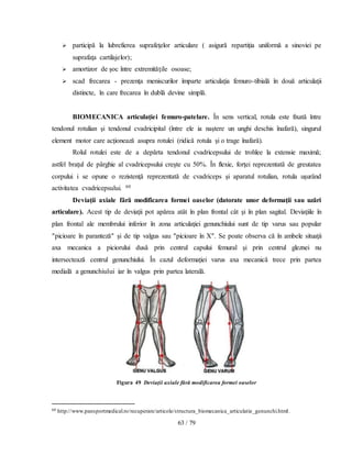 63 / 79
 participă la lubrefierea suprafeţelor articulare ( asigură repartiţia uniformă a sinoviei pe
suprafaţa cartilajelor);
 amortizor de şoc între extremităţile osoase;
 scad frecarea - prezenţa meniscurilor împarte articulaţia femuro-tibială în două articulaţii
distincte, în care frecarea în dublă devine simplă.
BIOMECANICA articulaţiei femuro-patelare. În sens vertical, rotula este fixată între
tendonul rotulian şi tendonul cvadricipital (între ele ia naştere un unghi deschis înafară), singurul
element motor care acţionează asupra rotulei (ridică rotula şi o trage înafară).
Rolul rotulei este de a depărta tendonul cvadricepsului de trohlee la extensie maximă;
astfel braţul de pârghie al cvadricepsului creşte cu 50%. În flexie, forţei reprezentată de greutatea
corpului i se opune o rezistenţă reprezentată de cvadriceps şi aparatul rotulian, rotula uşurând
activitatea cvadricepsului. 60
Deviaţii axiale fără modificarea formei oaselor (datorate unor deformaţii sau uzări
articulare). Acest tip de deviaţii pot apărea atât în plan frontal cât şi în plan sagital. Deviaţiile în
plan frontal ale membrului inferior în zona articulaţiei genunchiului sunt de tip varus sau popular
″picioare în paranteză″ şi de tip valgus sau ″picioare în X″. Se poate observa că în ambele situaţii
axa mecanica a piciorului dusă prin centrul capului femural şi prin centrul gleznei nu
intersectează centrul genunchiului. În cazul deformaţiei varus axa mecanică trece prin partea
medială a genunchiului iar în valgus prin partea laterală.
Figura 49 Deviaţii axiale fără modificarea formei oaselor
60 http://www.pansportmedical.ro/recuperare/articole/structura_biomecanica_articulatie_genunchi.html.
 