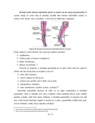 64 / 79
Deviaţii axiale datorate deformării efective a oaselor sau de cauză extraarticulară. În
această situaţie nu există uzări în articulaţii, deviaţiile fiind datorate deformărilor oaselor ca
urmare a unor fracturi vicios consolidate, a unor boli sau malformaţii congenitale.
Figura 50 Deviaţii axiale datorate deformării efective a oaselor
Pentru studierea acestor dezaxări sunt consacraţi următorii parametri:
 Amplitudinea;
 CORA (centre of rotation of angulation);
 Planul de deformare;
 Direcţia de deformare. 61
Procesele de degradare a articulaţiei genunchiului pot să apară atunci când este supusă la
eforturi mai mari decât poate ea să suporte, cum ar fi:
 statul mult în picioare;
 mersul exagerat de mult pe jos;
 purtarea unor greutăţi mari în mâini sau pe spate;
 supraponderea, obezitatea;
 unele traumatismele (căzături, lovituri, accidente).62
Osteoartrita genunchiului afectează de multe ori un singur compartiment al articulaţiei
genunchiului. Când se întâmplâ acest lucru, realinierea axului membrului afectat, poate schimba
greutatea corpului, astfel încât partea sănătoasă a articulaţiei genunchiului să acapareze mai mult
stres. Când această deteriorare inegală se produce pe o parte a genunchiului, cealaltă parte poate
avea în continuare cartilaj bun pe suprafaţa articulaţiei.
61 http://doctorate.ulbsibiu.ro/obj/documents/rezumatcofaruioana.pdf.
62 http://www.coxartroza-gonartroza.ro/gonartroza.asp.
 
