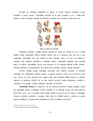 7 / 79
Exemple de articulații semimobile se găsesc la nivelul coloanei vertebrale, oasele
pumnului și oasele tarsiene. Articulațiile pivotante de la baza craniului și cea a cotului între
humerus și ulnă sunt tipuri speciale de articulații în balama care se mișcă în jurul unui pivot.
Figura 3 Tipuri de articulaţii
Articulația pivotantă a gâtului permite mișcările de rotație ale capului, iar cea a cotului
asigură rotația antebrațului, făcând posibile mișcări cum ar fi răsucirea unei chei sau a unei
șurubelnițe. Articulațiile care sunt mobile în toate direcțiile, cum ar fi cele ale șoldului și
umărului, sunt denumite articulații cu suprafețe sferice. Articulațiile degetelor sunt articulații
tipice în balama. Extremitățile osoase sunt acoperite cu un material denumit cartilaj articular.
Întreaga articulație este împrejmuită de un țesut fibros rezistent, denumit capsulă articulară.
Aceasta menține poziția articulației, prevenind orice mișcare anormală. În interiorul
articulației, dar nedepășind cartilajul articular, se găsește sinoviala. Acesta este un strat de țesut
care, uneori, are doar grosimea unei singure celule care formează lichidul sinovial, ce permite
mișcarea și reducerea frecării. Ea nu este absolut necesară pentru funcționarea normală a
articulației și în anumite condiții membrana sinovială este afectată.
Articulațiile fibroase le includ pe cele ale coloanei vertebrate, sacrului, craniului și unele
din articulațiile gleznei și pelvisului. Aceste articulații nu au sinovială; oasele sunt unite printr-un
țesut fibros dens, care nu permite decât mișcări limitate sau nici un tip de mișcare. Articulațiile
coloanei vertebrate reprezintă o excepție, fiind destul de flexibilă pentru a permite un anumit
grad de mobilitate, în același timp mentinandu-și rolul de susținere al acesteia. 6
6 http://omenesc.ro/osos-articulatii.html.
 