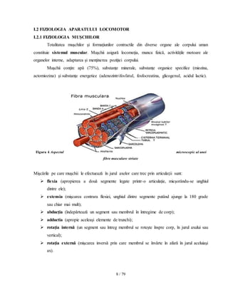 8 / 79
I.2 FIZIOLOGIA APARATULUI LOCOMOTOR
I.2.1 FIZIOLOGIA MUŞCHILOR
Totalitatea muşchilor şi formaţiunilor contractile din diverse organe ale corpului uman
constituie sistemul muscular. Muşchii asigură locomoţia, munca fizică, activităţile motoare ale
organelor interne, adaptarea şi menţinerea poziţiei corpului.
Muşchii conţin: apă (75%), substanţe minerale, substanţe organice specifice (miozina,
actomiozina) şi substanţe energetice (adenozintrifosfatul, fosfocreatina, glicogenul, acidul lactic).
Figura 4 Aspectul microscopic al unei
fibre musculare striate
Mişcările pe care muşchii le efectuează în jurul axelor care trec prin articulaţii sunt:
 flexia (apropierea a două segmente legate printr-o articulaţie, micşorându-se unghiul
dintre ele);
 extensia (mişcarea contrara flexiei, unghiul dintre segmente putând ajunge la 180 grade
sau chiar mai mult);
 abducţia (îndepărtează un segment sau membrul în întregime de corp);
 adductia (apropie aceleaşi elemente de trunchi);
 rotaţia internă (un segment sau întreg membrul se roteşte înspre corp, în jurul axului sau
vertical);
 rotaţia externă (mişcarea inversă prin care membrul se învârte în afară în jurul aceluiaşi
ax).
 