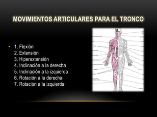 MOVIMIENTOS ARTICULARES PARA EL TRONCO



• 1. Flexión
  2. Extensión
  3. Hiperextensión
  4. Inclinación a la derecha
  5. Inclinación a la izquierda
  6. Rotación a la derecha
  7. Rotación a la izquierda
 