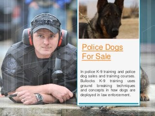 Police Dogs
For Sale
In police K-9 training and police
dog sales and training courses.
Bullocks K-9 training uses
ground breaking techniques
and concepts in how dogs are
deployed in law enforcement.
 