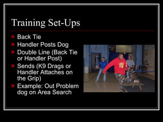 Police K9 Decoy School Presentation | PPT | Dogs | Pets
