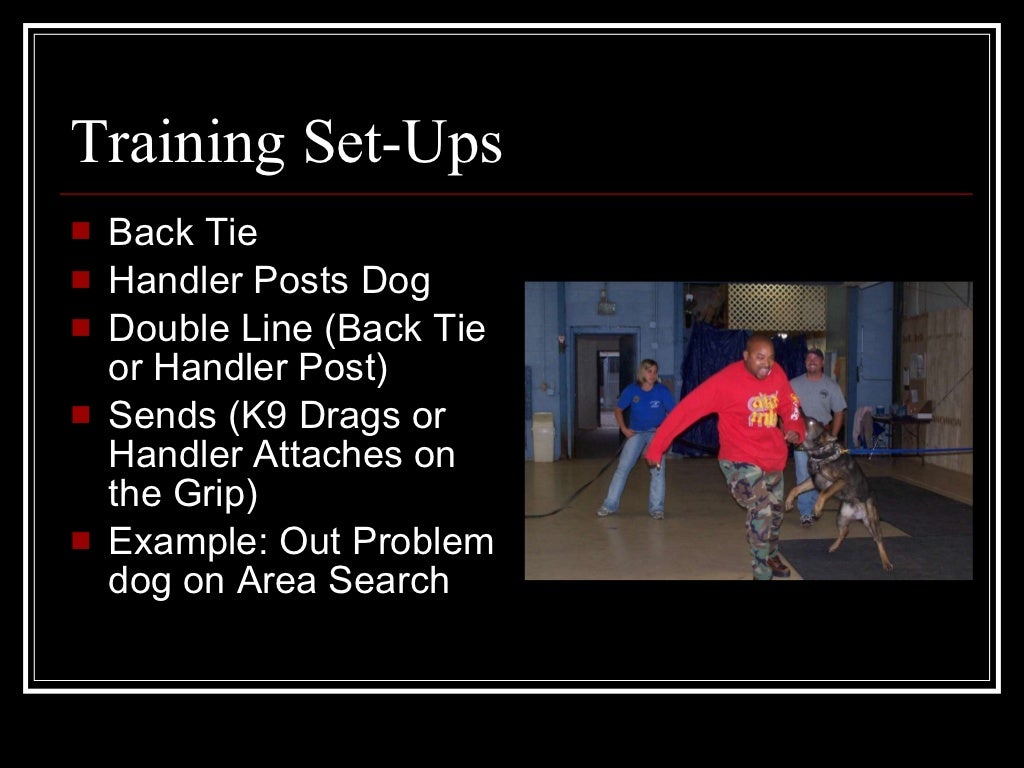 Police K9 Decoy School Presentation