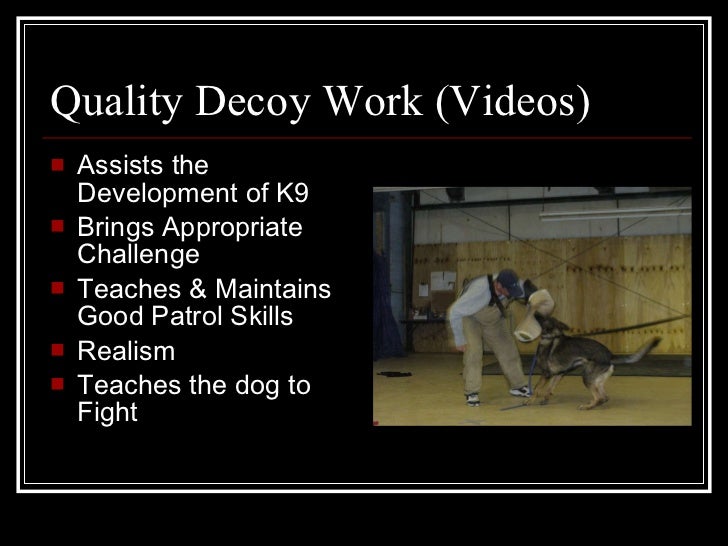 Police K9 Decoy School Presentation