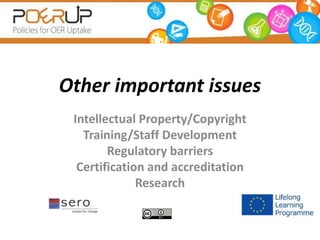 Other important issues
Intellectual Property/Copyright
Training/Staff Development
Regulatory barriers
Certification and accreditation
Research
 