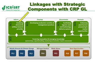 Policies, institutions, and markets to strengthen food security and incomes for the rural poor