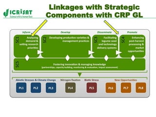 Policies, institutions, and markets to strengthen food security and incomes for the rural poor