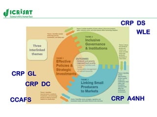 Policies, institutions, and markets to strengthen food security and incomes for the rural poor