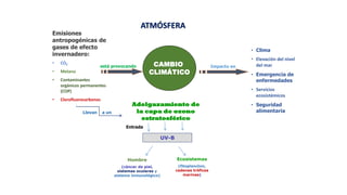 Emisiones
antropogénicas de
gases de efecto
invernadero:
• CO2
• Metano
• Contaminantes
orgánicos permanentes
(COP)
• Clorofluorocarbonos
UV-B
Adelgazamiento de
la capa de ozono
estratosférico
Entrada
CAMBIO
CLIMÁTICO
Impacto en
está provocando
Llevan a un
Hombre
(cáncer de piel,
sistemas oculares y
sistema inmunológico)
Ecosistemas
(fitoplancton,
cadenas tróficas
marinas)
• Clima
• Elevación del nivel
del mar
• Emergencia de
enfermedades
• Servicios
ecosistémicos
• Seguridad
alimentaria
ATMÓSFERA
 