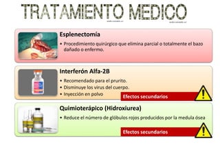 Esplenectomía
• Procedimiento quirúrgico que elimina parcial o totalmente el bazo
dañado o enfermo.
Interferón Alfa-2B
• Recomendado para el prurito.
• Disminuye los virus del cuerpo.
• Inyección en polvo
Quimioterápico (Hidroxiurea)
• Reduce el número de glóbulos rojos producidos por la medula ósea
Efectos secundarios
Efectos secundarios
 