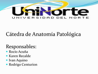Cátedra de Anatomía Patológica
Responsables:
 Rocío Acuña
 Karen Recalde
 Ivan Aquino
 Rodrigo Centurion
 