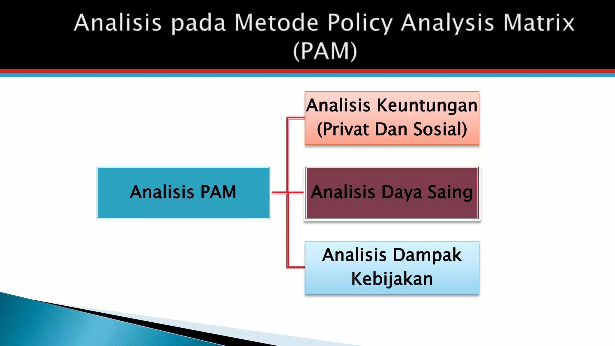 Policy Analysis Matrix | PPTX