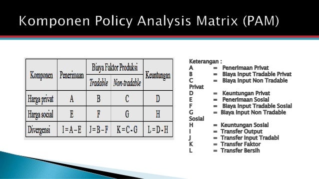 Policy Analysis Matrix