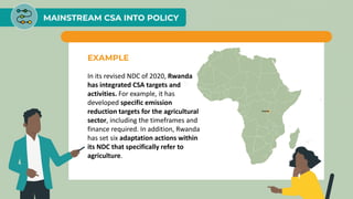 MAINSTREAM CSA INTO POLICY
EXAMPLE
In its revised NDC of 2020, Rwanda
has integrated CSA targets and
activities. For example, it has
developed specific emission
reduction targets for the agricultural
sector, including the timeframes and
finance required. In addition, Rwanda
has set six adaptation actions within
its NDC that specifically refer to
agriculture.
 