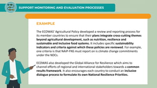 SUPPORT MONITORING AND EVALUATION PROCESSES
EXAMPLE
The ECOWAS’ Agricultural Policy developed a review and reporting process for
its member countries to ensure that their plans integrate cross-cutting themes
beyond agricultural development, such as nutrition, resilience and
sustainable and inclusive food systems. It includes specific sustainability
indicators and criteria against which these policies are reviewed. For example,
one criteria is that NAIP-FNS must report on is climate change commitments
under the NDCs.
ECOWAS also developed the Global Alliance for Resilience which aims to
channel efforts of regional and international stakeholders towards a common
results framework. It also encourages each country to conduct an inclusive
dialogue process to formulate its own National Resilience Priorities.
 