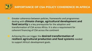 IMPORTANCE OF CSA POLICY COHERENCE IN AFRICA
• Greater coherence between policies, frameworks and programmes
dealing with climate change, agricultural development and
food security is a key prerequisite for the adoption and
transformation of CSA across Africa. It is also a requirement for
coherent financing of CSA across the continent
• Achieving this can trigger the desired transformation of
resilient agricultural production and food systems needed
to support Africa’s development goals.
 