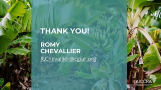 THANK YOU!
ROMY
CHEVALLIER
R.Chevallier@cgiar.org
 