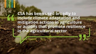CSA has been used broadly to
include climate adaptation and
mitigation actions in agriculture
or actions that promote resilience
in the agricultural sector
 